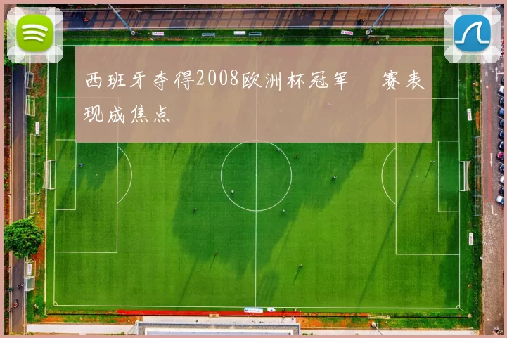西班牙夺得2008欧洲杯冠军 決赛表现成焦点