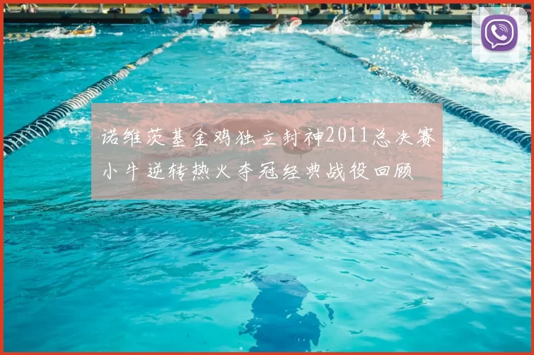 诺维茨基金鸡独立封神2011总决赛小牛逆转热火夺冠经典战役回顾