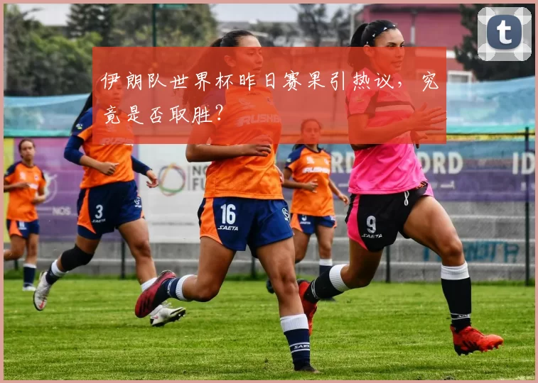 伊朗队世界杯昨日赛果引热议，究竟是否取胜？
