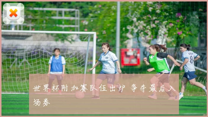 世界杯附加赛队伍出炉 争夺最后入场券