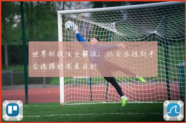 世界杯投注全解读：从合法性到平台选择的深度分析