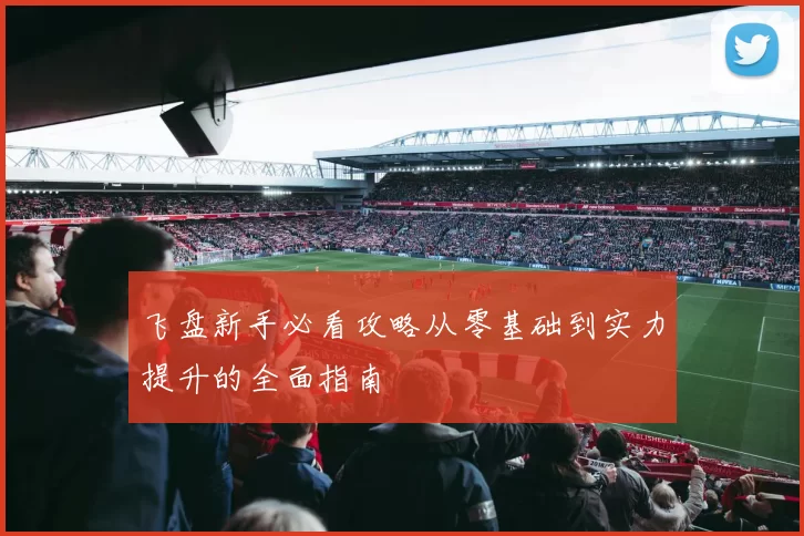 飞盘新手必看攻略从零基础到实力提升的全面指南