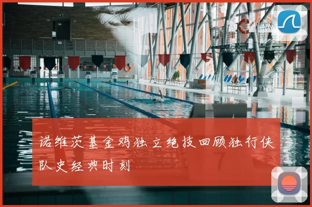 诺维茨基金鸡独立绝技回顾独行侠队史经典时刻