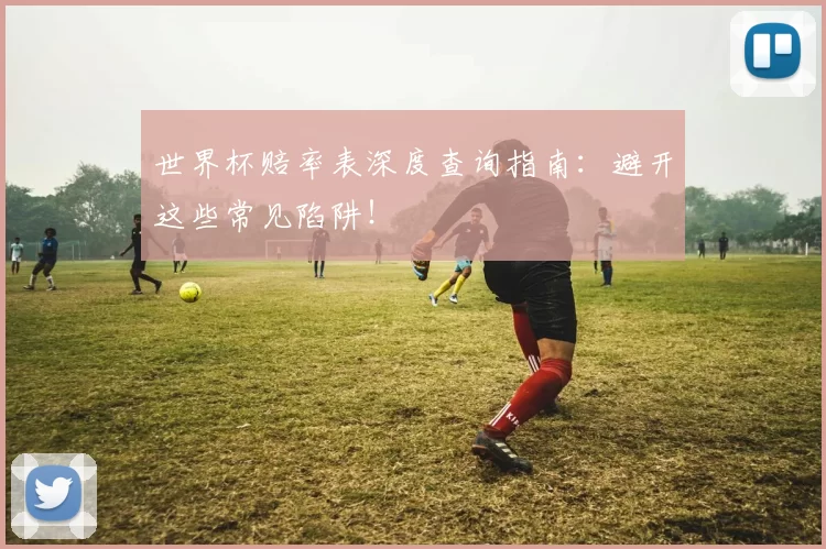 世界杯赔率表深度查询指南：避开这些常见陷阱！